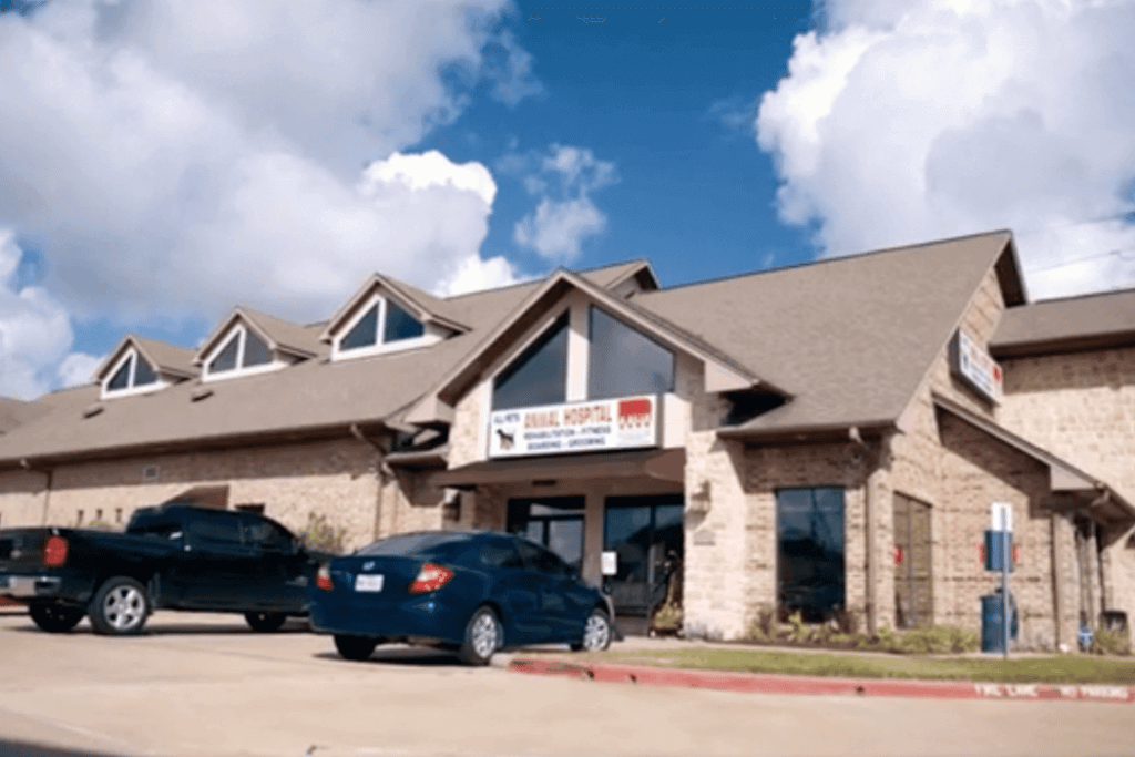 Katy Animal Hospital - All Pets Animal Hospital & 24-Hour Emergency Care